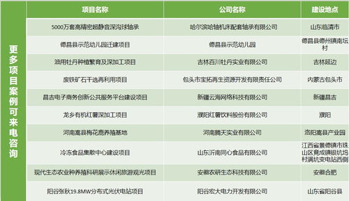 銅仁節(jié)能評(píng)估 專(zhuān)家團(tuán)隊(duì)領(lǐng)航，開(kāi)發(fā)項(xiàng)目精益求精